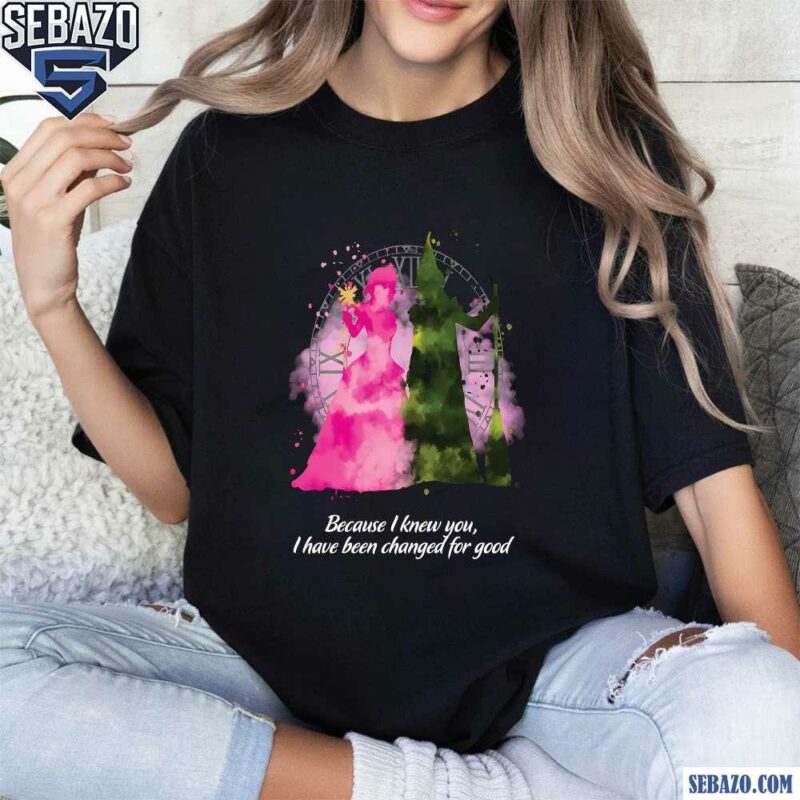 Because I Knew You I Have Been Changed For Good Wizard Shirt t-shirt