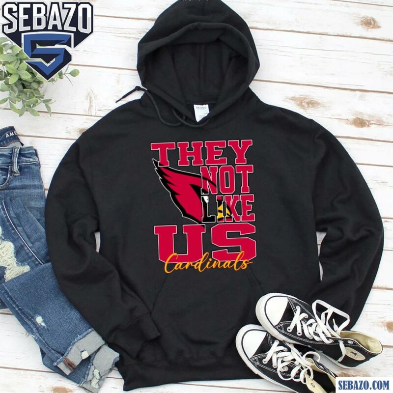 They Not Like Us Arizona Cardinals Nfl Football Shirt hoodie