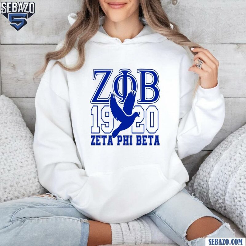 Zeta Phi Beta 1920 African American Shirt hoodie