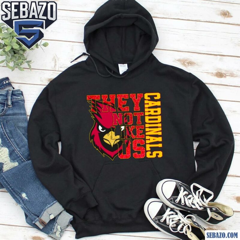 Glitter Arizona Cardinals They Not Like Us Shirt hoodie