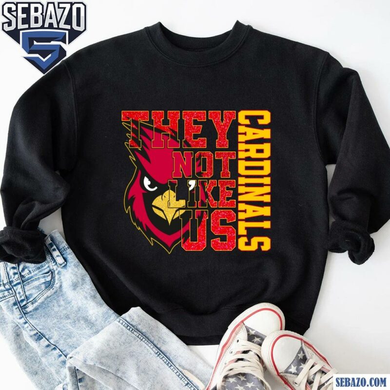 Glitter Arizona Cardinals They Not Like Us Shirt sweatshirt