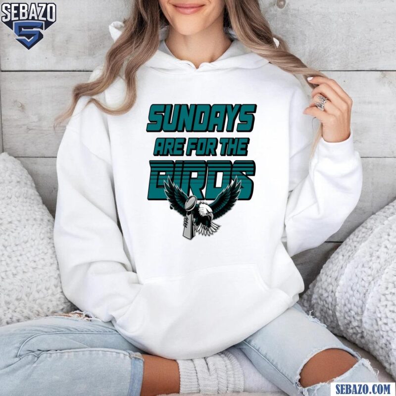 Retro Sundays Are For The Birds Super Bowl Champions Trophy Shirt hoodie