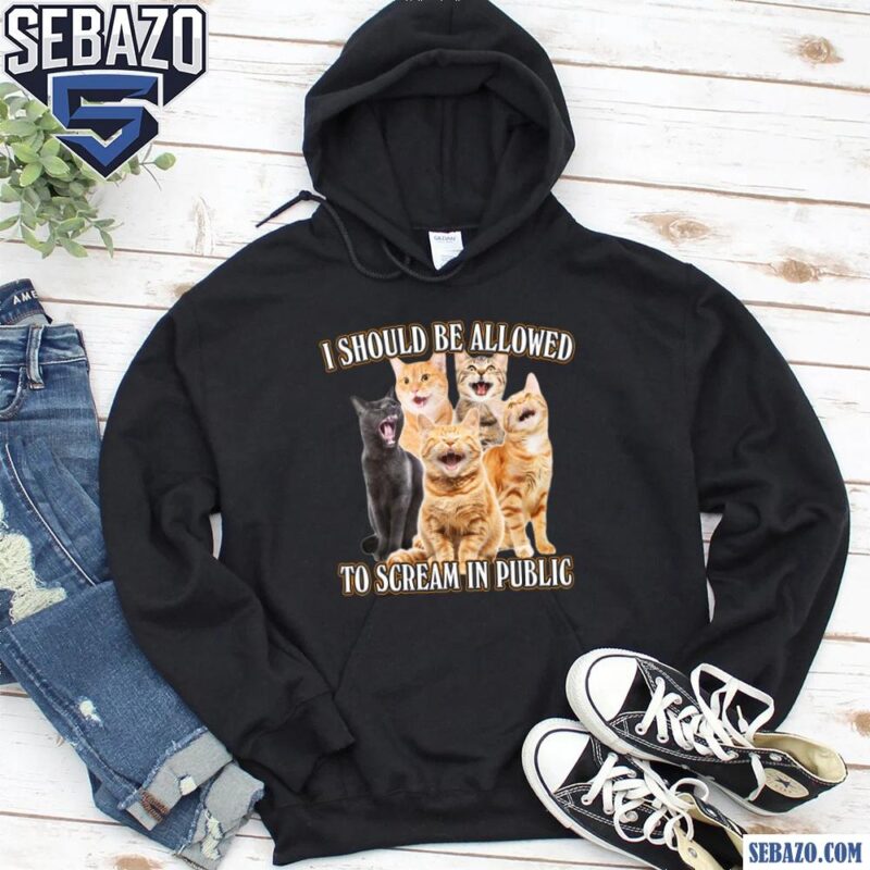 I Should Be Allowed To Scream In Public Shirt hoodie