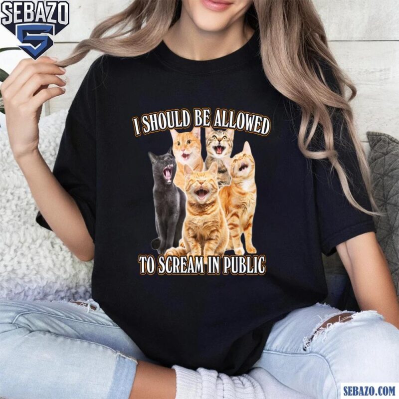I Should Be Allowed To Scream In Public Shirt t-shirt